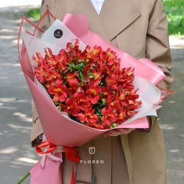 9 красных альстромерий в упаковке