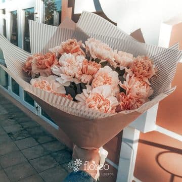 17 кремово-кофейных гвоздик в упаковке