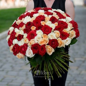 101 роза микс