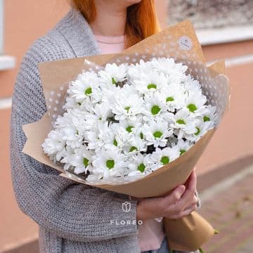 7 ромашковых хризантем в упаковке