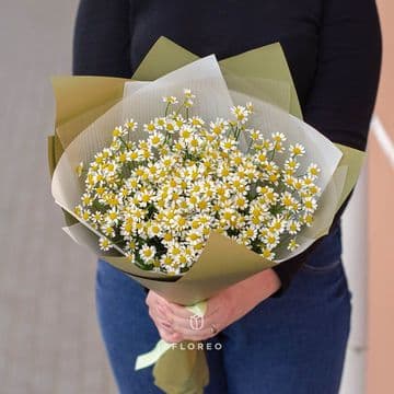 13 веток танацетума в упаковке