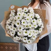 9 ромашковых хризантем в крафте