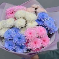 7 кустовых хризантем