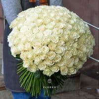 151 белая роза