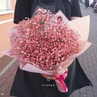 Букет из красной гипсофилы размер S