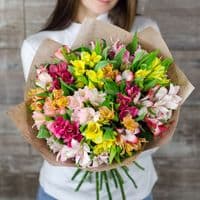 19 альстромерий микс в упаковке