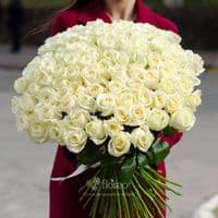101 белая роза