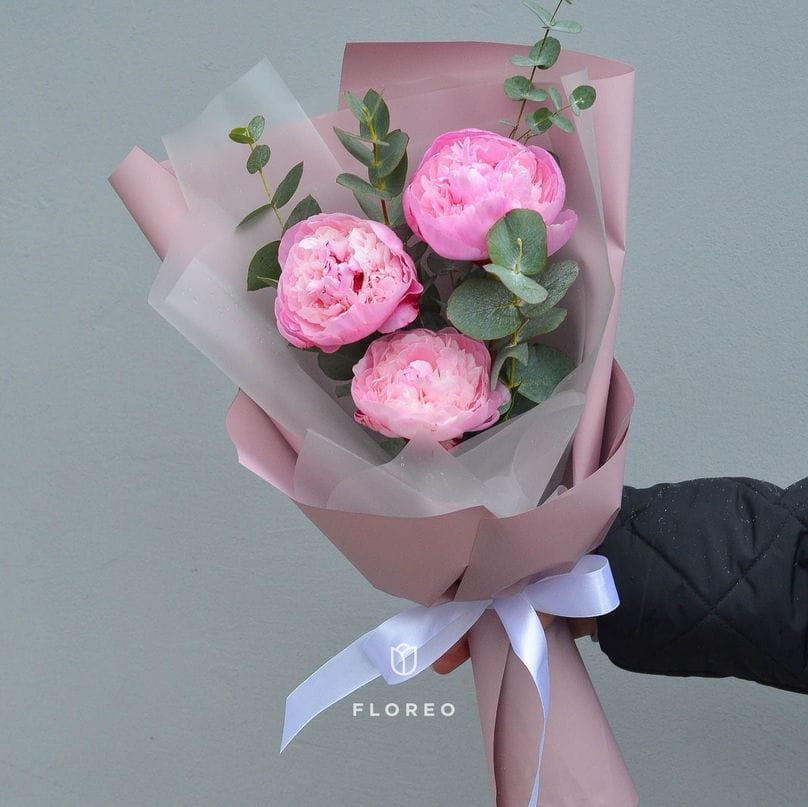 3 розовых пиона в упаковке #1079