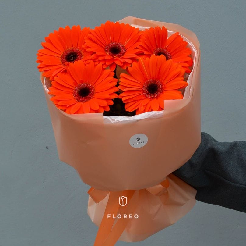 5 гербер в упаковке #676