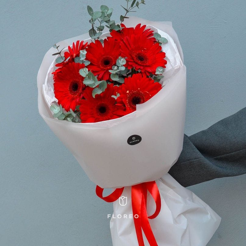 7 красных гербер с эвкалиптом #553