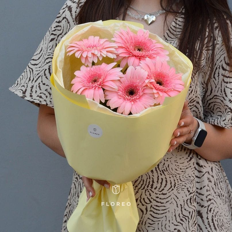 5 гербер в упаковке