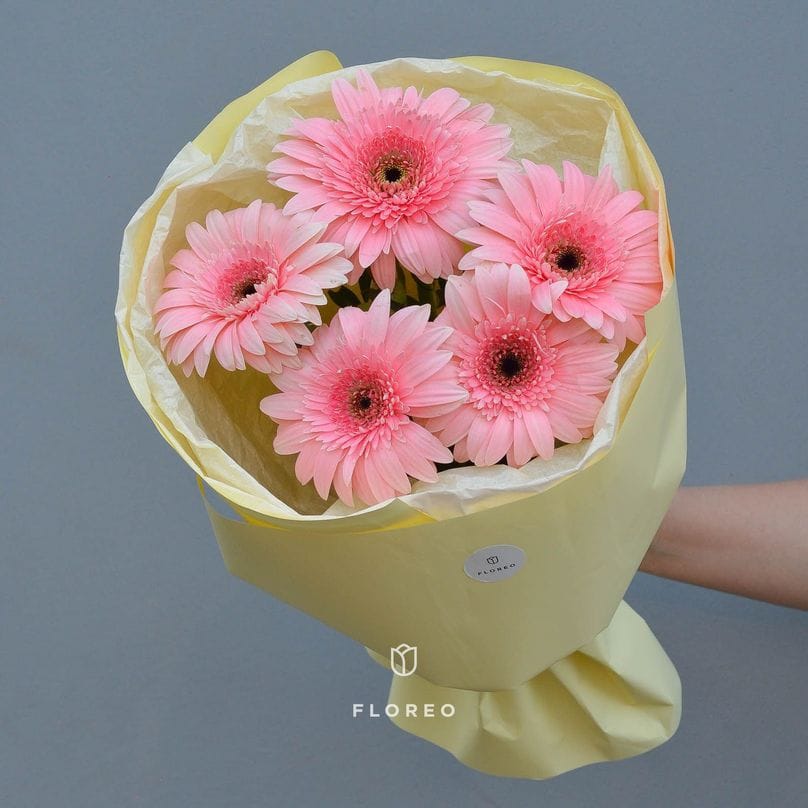 5 гербер в упаковке