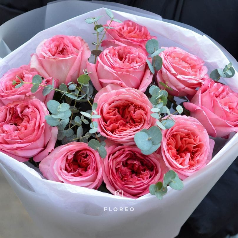 11 пионовидных роз с эвкалиптом #869