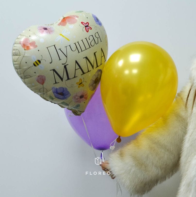 Набор гелиевых шаров "Лучшая мама"