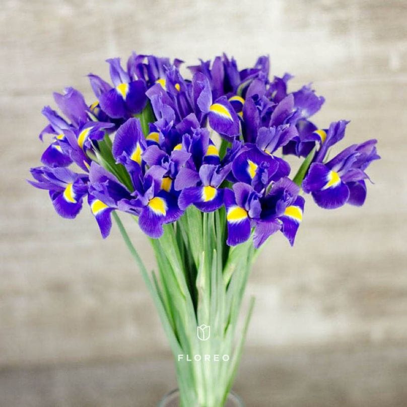 15 ирисов 1052