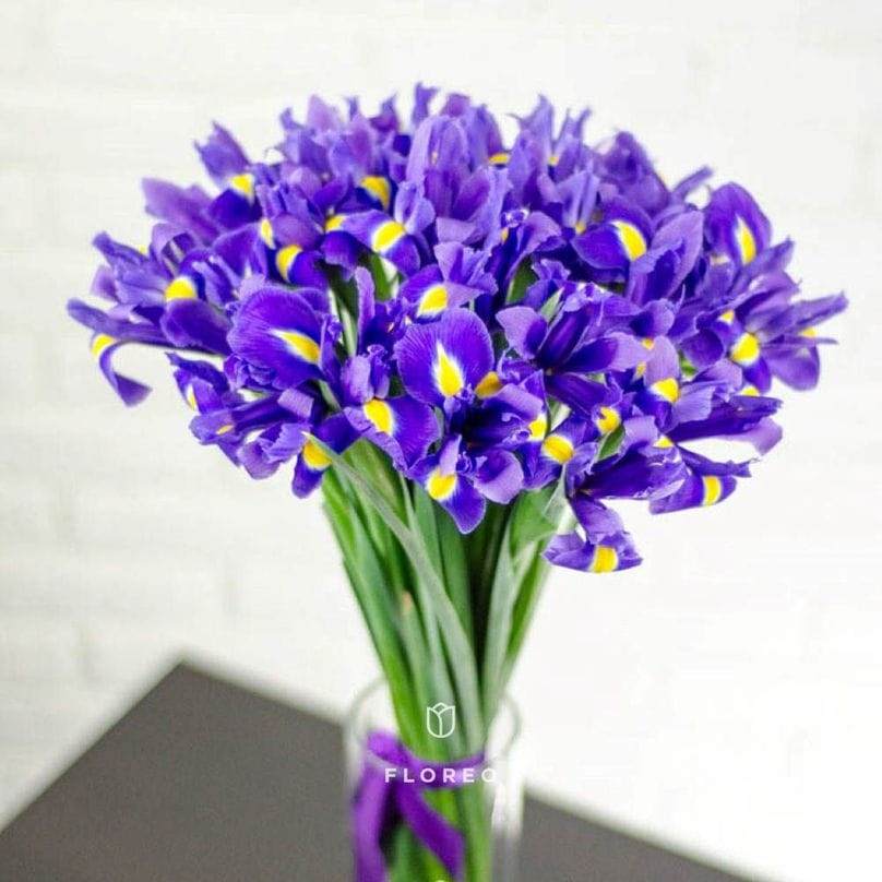 25 ирисов 1053