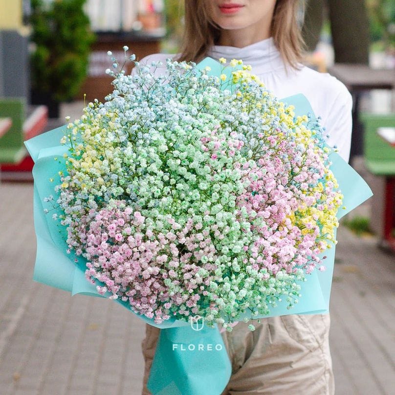21 ветка радужной гипсофилы/ 818