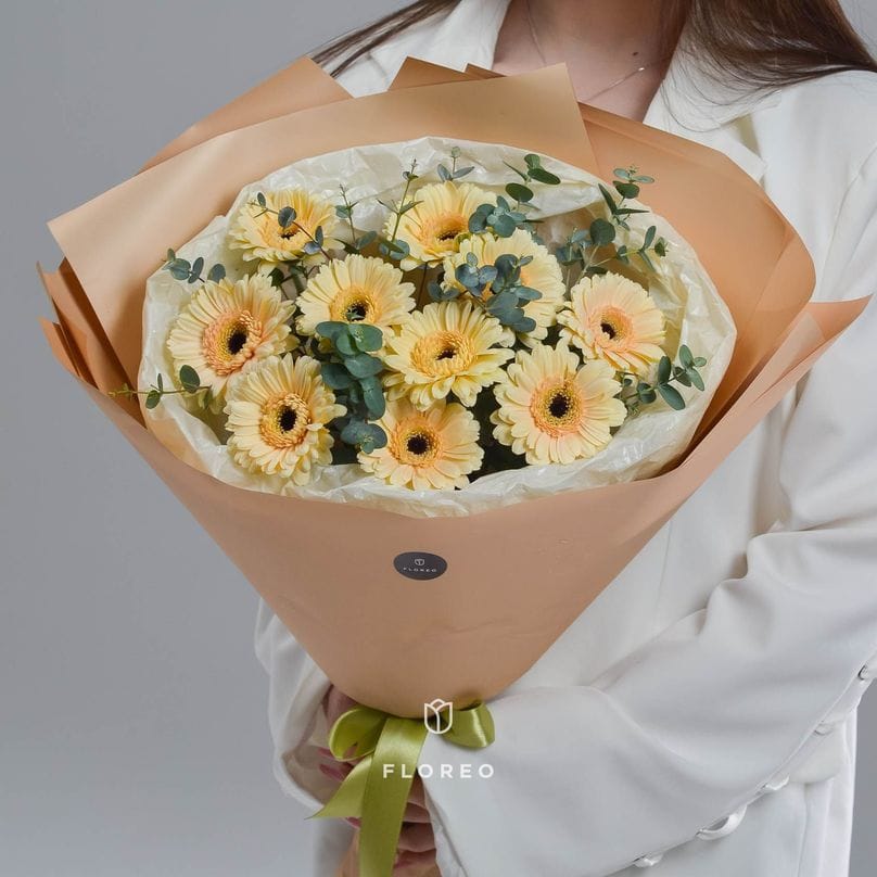 9 кремовых гербер с эвкалиптом #986