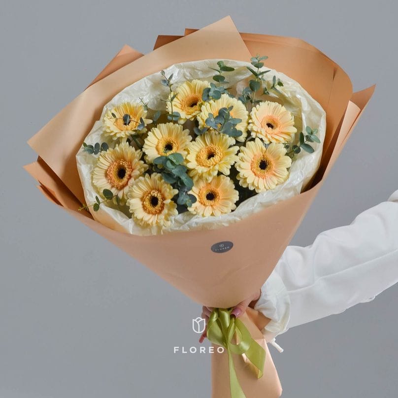 9 кремовых гербер с эвкалиптом #986