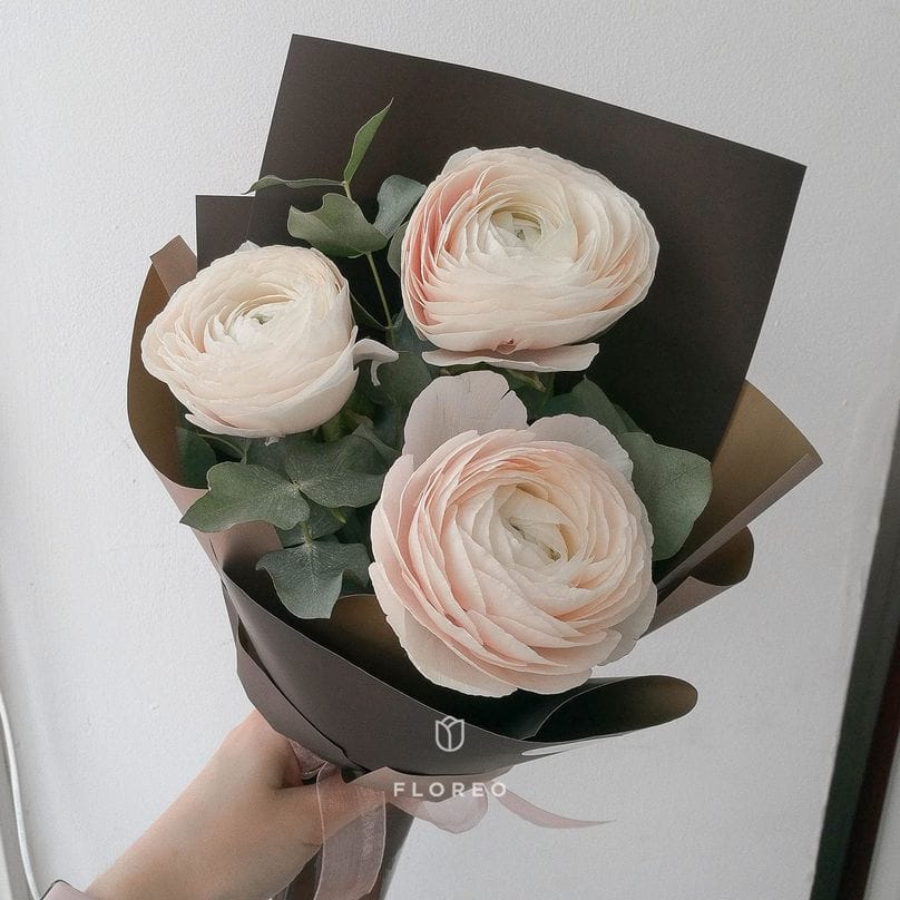 3 нежно-розовых ранункулюса с эвкалиптом