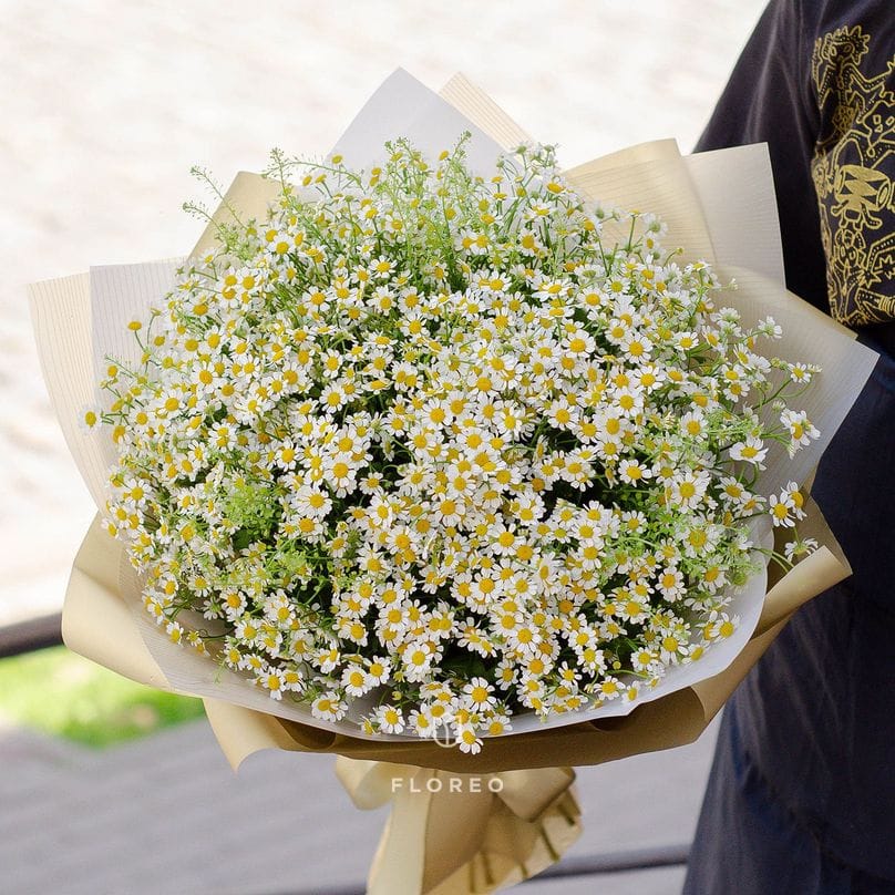 29 веток танацетума в упаковке