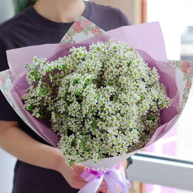 Монобукет из веток хамулациума