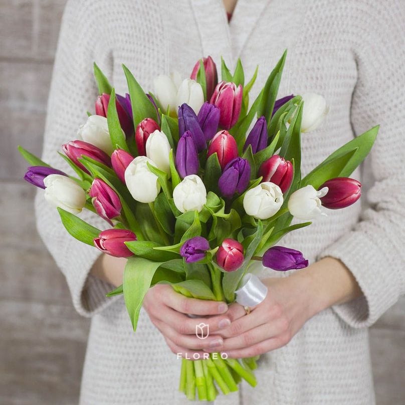 33 тюльпана #1025