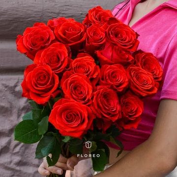 17 алых роз под ленту/792
