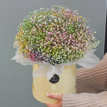 Коробка с гипсофилой