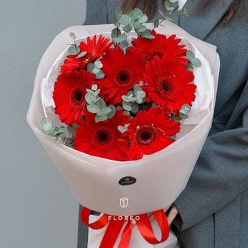 7 красных гербер с эвкалиптом #553