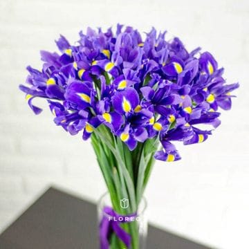 25 ирисов 1053