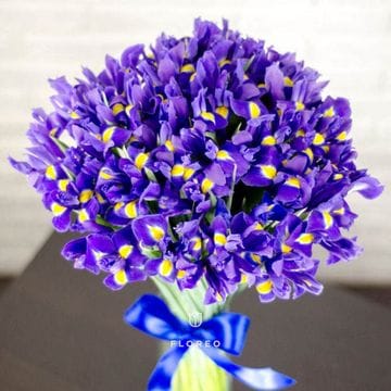 45 ирисов 1054