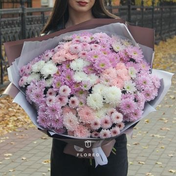 25 кустовых хризантем #1330