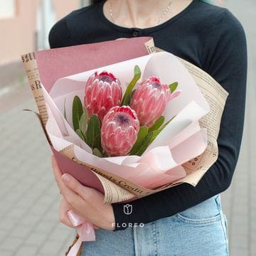 3 протеи в упаковке #695