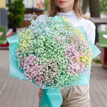 21 ветка радужной гипсофилы/ 818