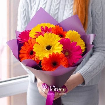 9 гербер микс в упаковке #104