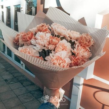 17 кремово-кофейных гвоздик в упаковке