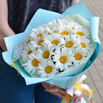 19 ромашек в упаковке #1143