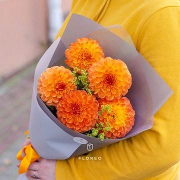 5 георгинов в упаковке
