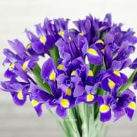 15 синих ирисов