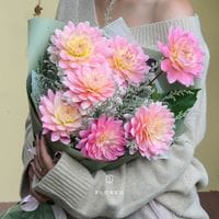 7 георгинов в упаковке