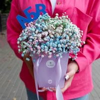 Сумочка с гипсофилой