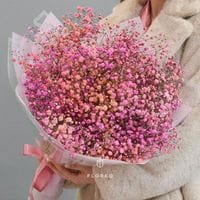 Розовая гипсофила в упаковке 894