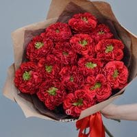 15 пионовидных роз Ред Монстр в крафте #537