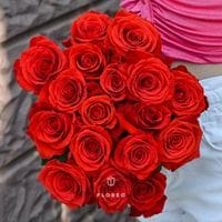 17 алых роз под ленту/792
