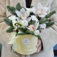 Зимняя композиция с орхидеями 912