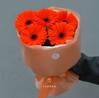 5 гербер в упаковке #676