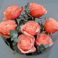 7 пионовидных роз Кахала с эвкалиптом #552