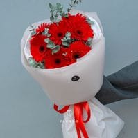 7 красных гербер с эвкалиптом #553