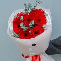 7 красных гербер с эвкалиптом #553